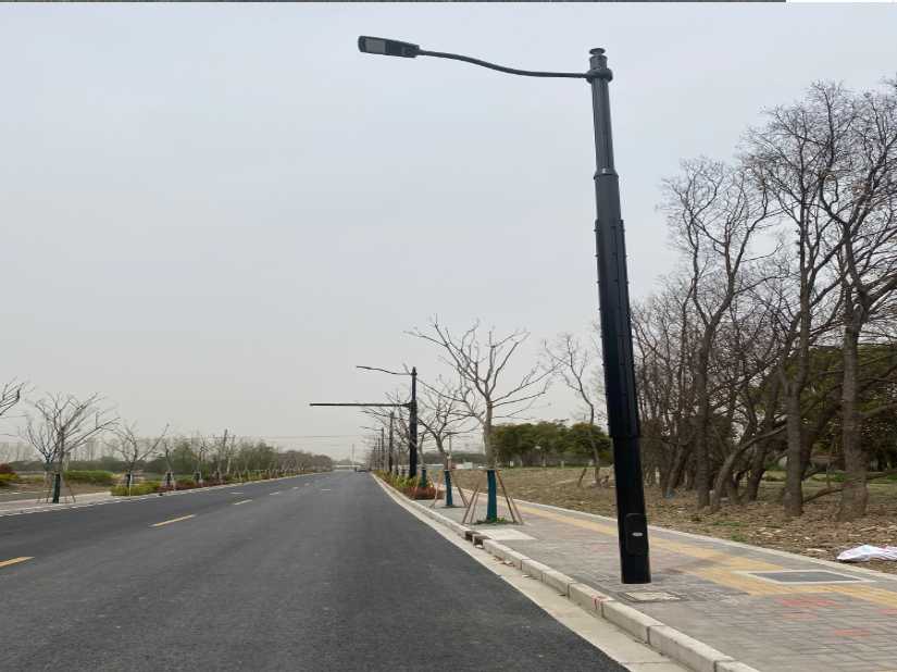 林甸县上海综合杆 太阳能路灯工程